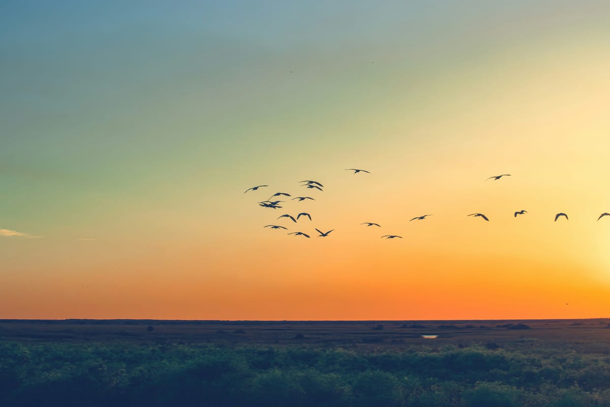 STACKUP: The Stack's weekly tech startups and funding wrap