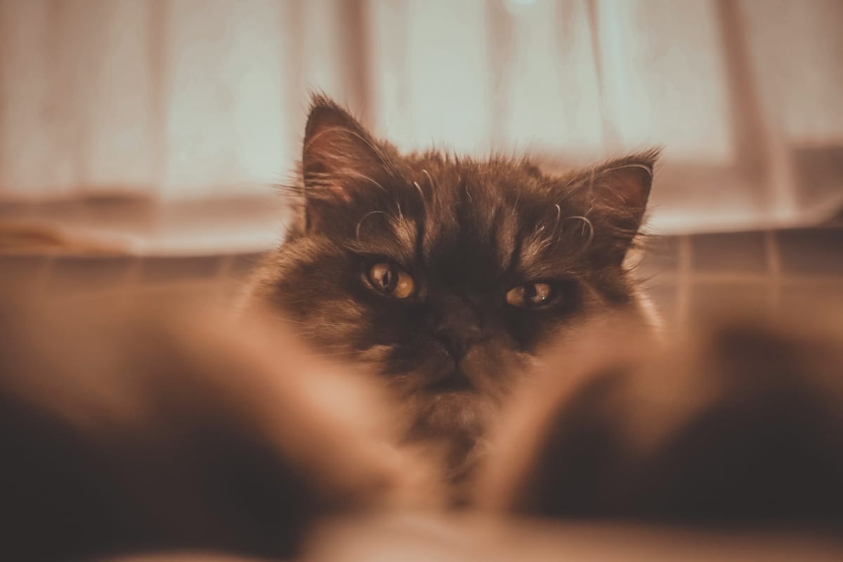 The big challenge for agentic AI: grumpy old teams