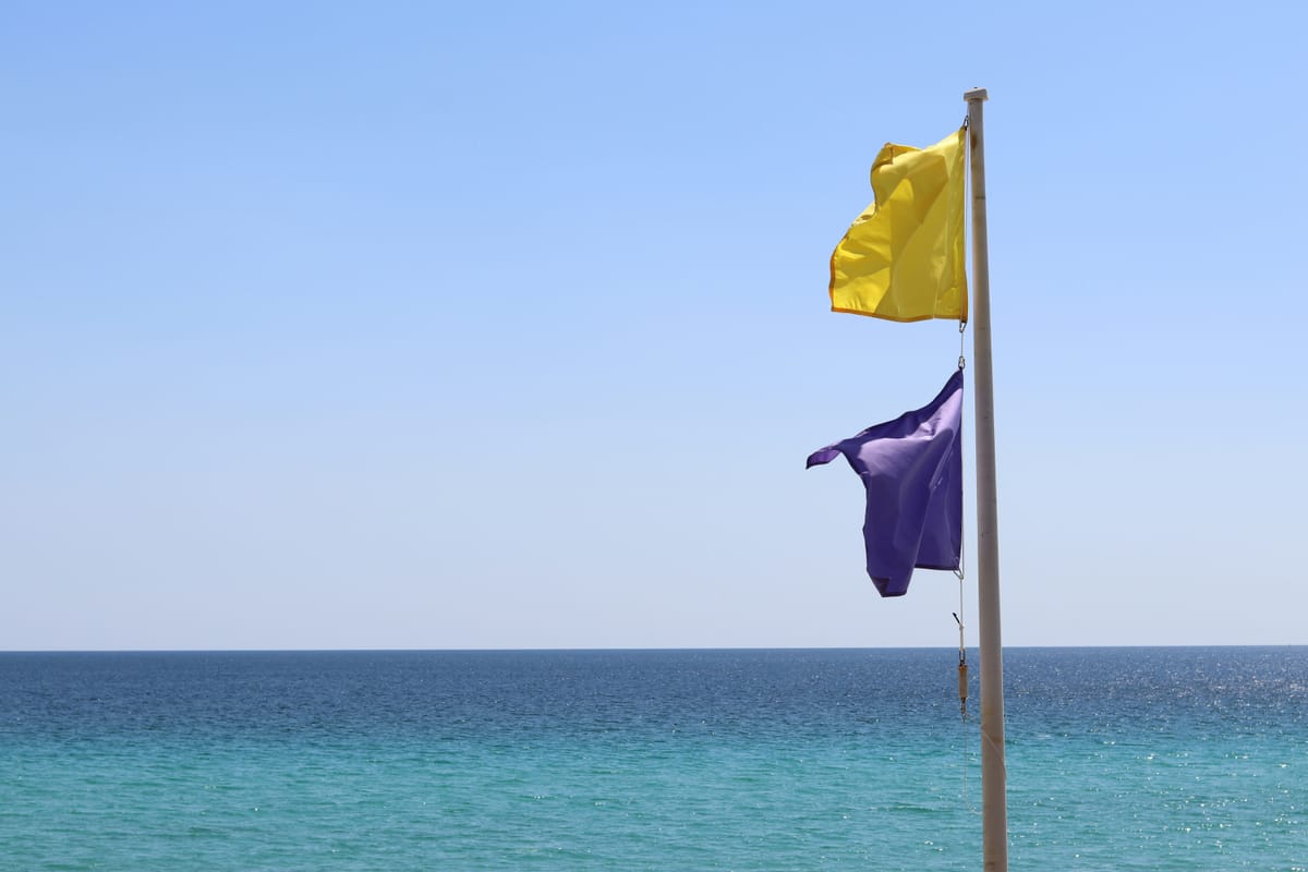 Python Foundation "raising the flag" on dwindling funds