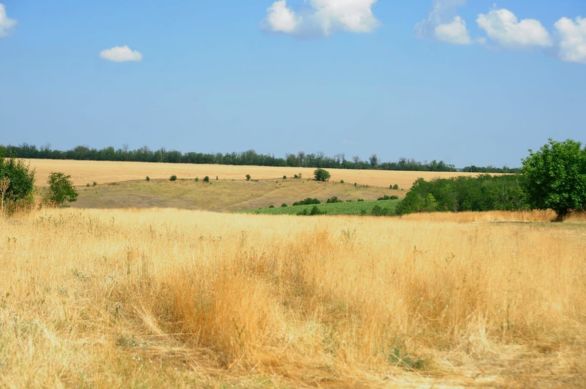 Nemotron 3: NVIDIA goes wide open on big-context, mixture-of-experts model