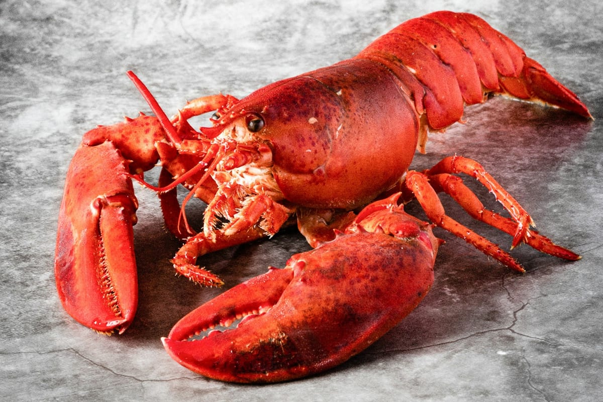 OpenClaw creator joins OpenAI, but enterprises should proceed with claw-tion