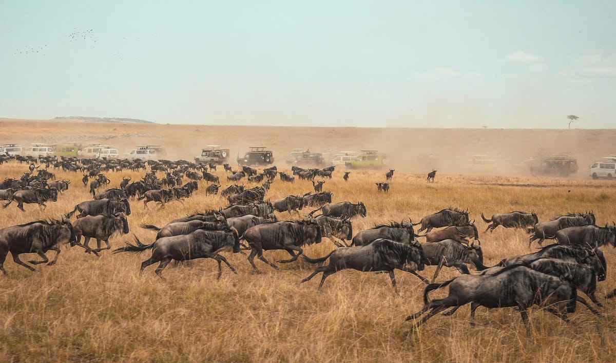 How PayPal migrated 400PB in the "largest data migration" in history