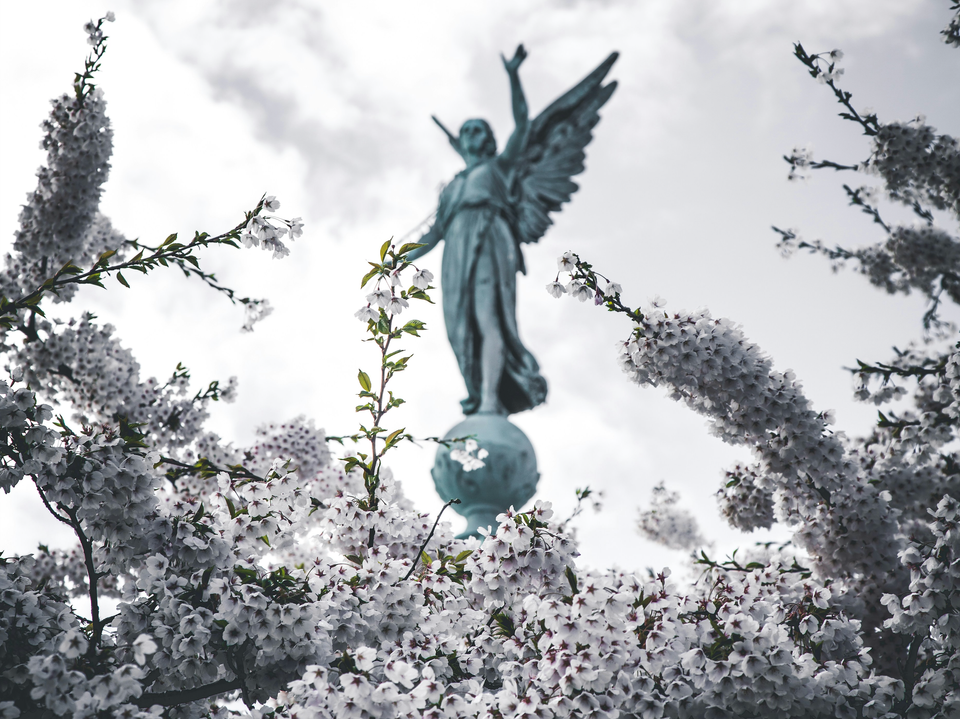 Dark Angels is known to use a RagnarLocker ransomware variant (Image: Kasper Rasmussen, Unsplash)