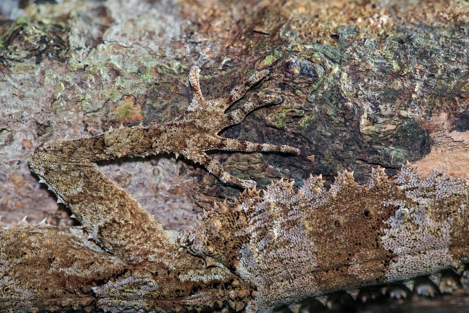 Exclusive: F5 attackers target deep VMware persistence with novel malware