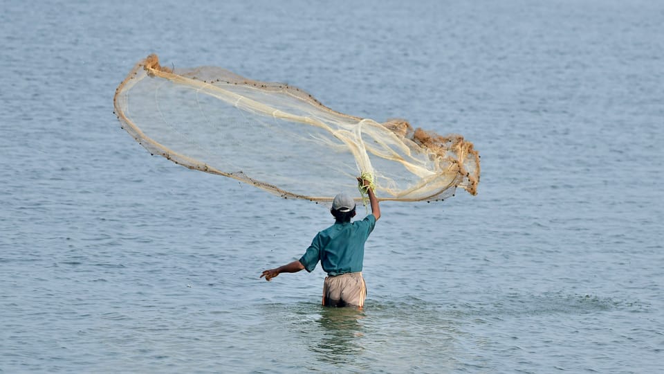 A fisherman throws a large net into the ocean. Microsoft's new bug bounty scheme will cover all online services