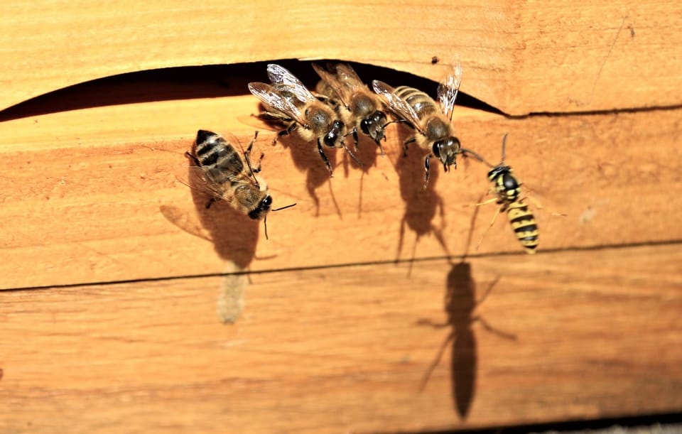 Multiple 0days in Microsoft Exchange Server being exploited in wild.