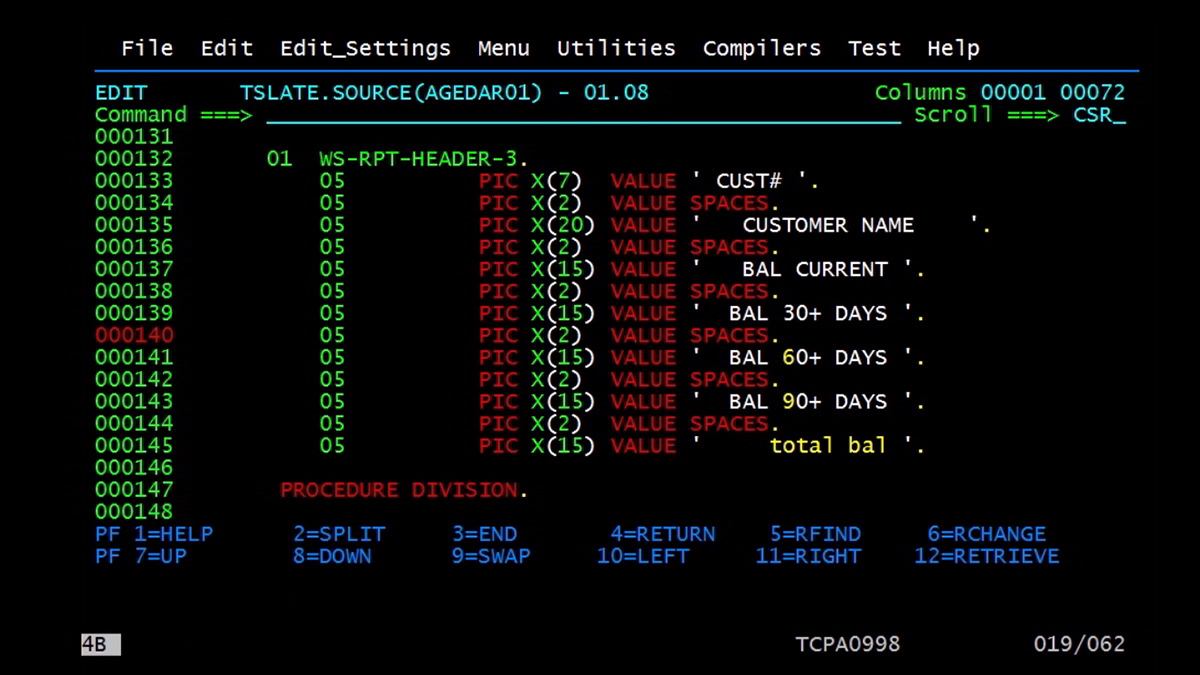 cobol in daily use